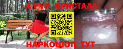 соль ск Кингисепп