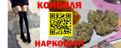 сатива Коммунар