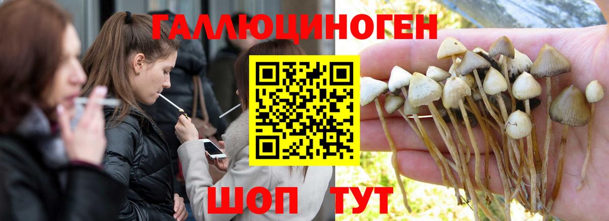Псилоцибиновые грибы Psilocybe  Вход с VPN  Галлюциногенные грибы ЛСД  где купить   Котлас 